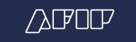 Argentine Customs Website