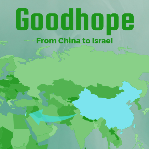 LCL shipping cost from China to Israel in 2025