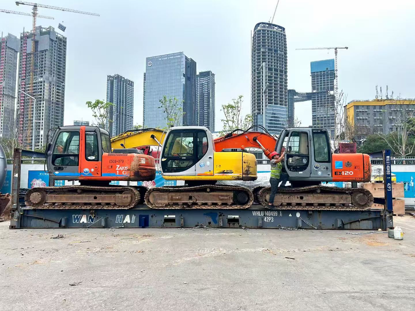 Great international LCL ocean freight from Shenzhen to Libya